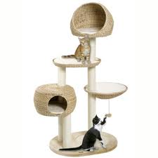 arbre a chat design pas cher